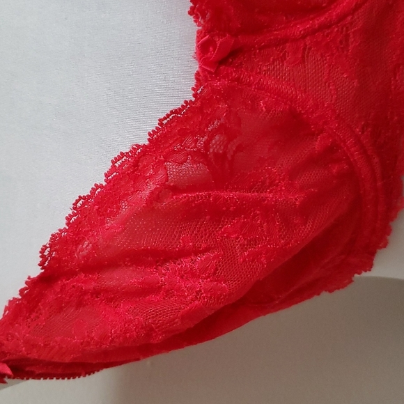 Bra & Panty Set Sizes 38DD/1x Red Lace By Felina Lingerie & Donna Loren - Picture 5 of 16